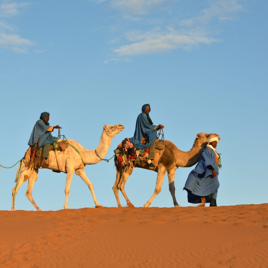 camel ride
