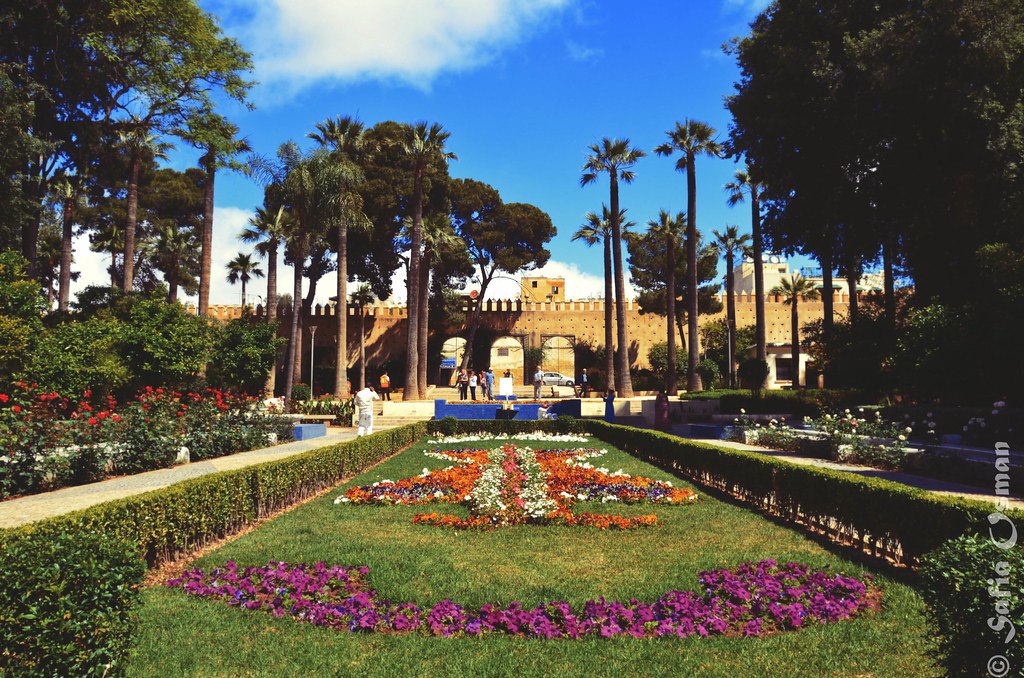 Things to do in fes 333