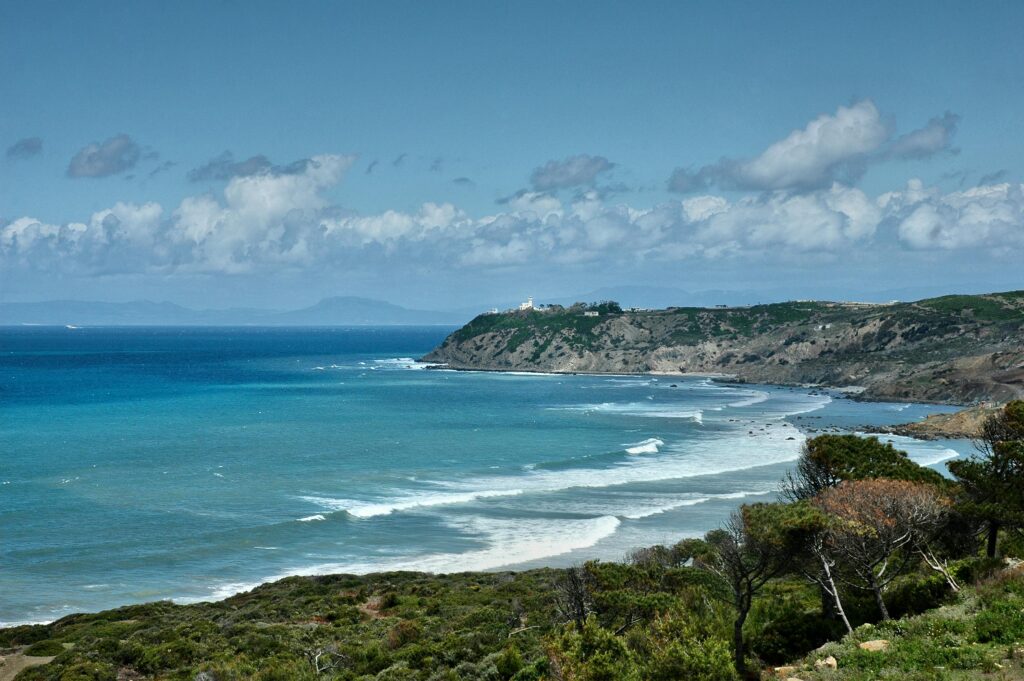 Pexels photo 11517339