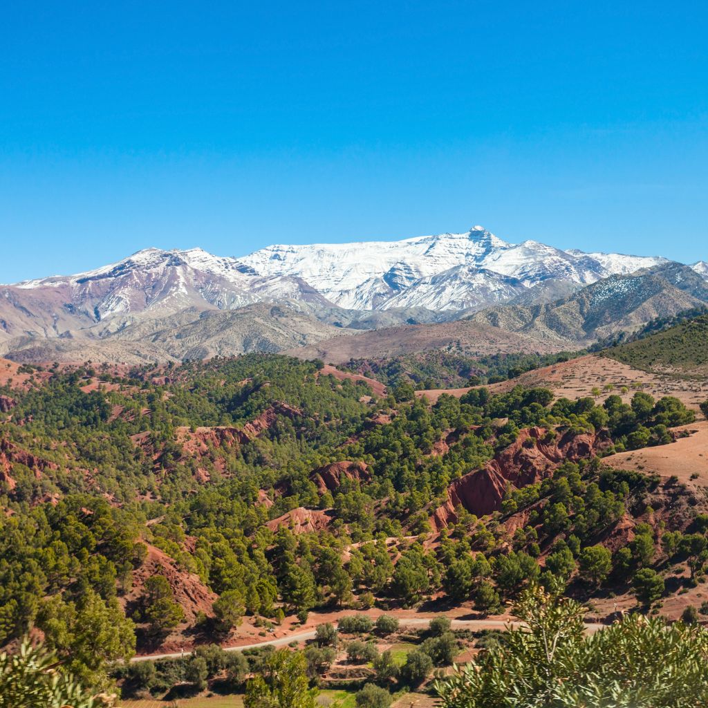 High Atlas Excursion