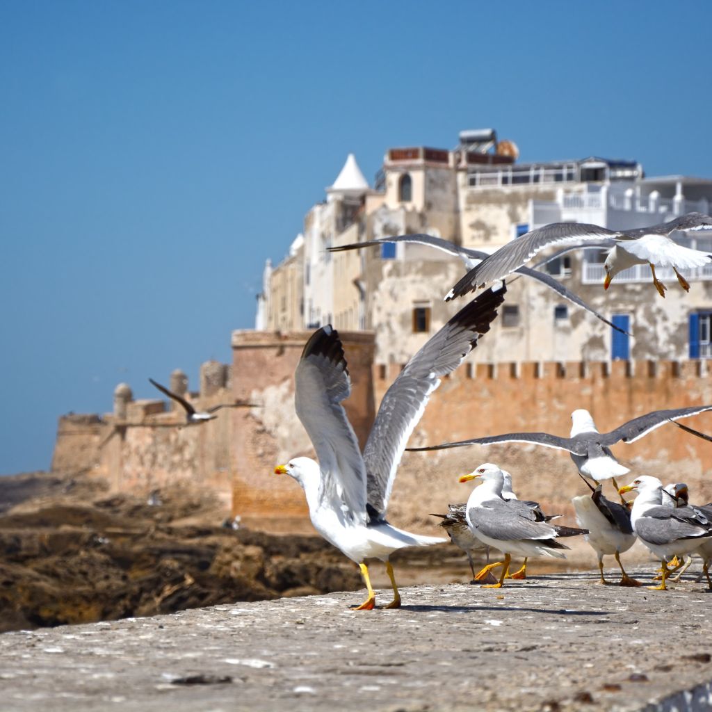 Essaouira
